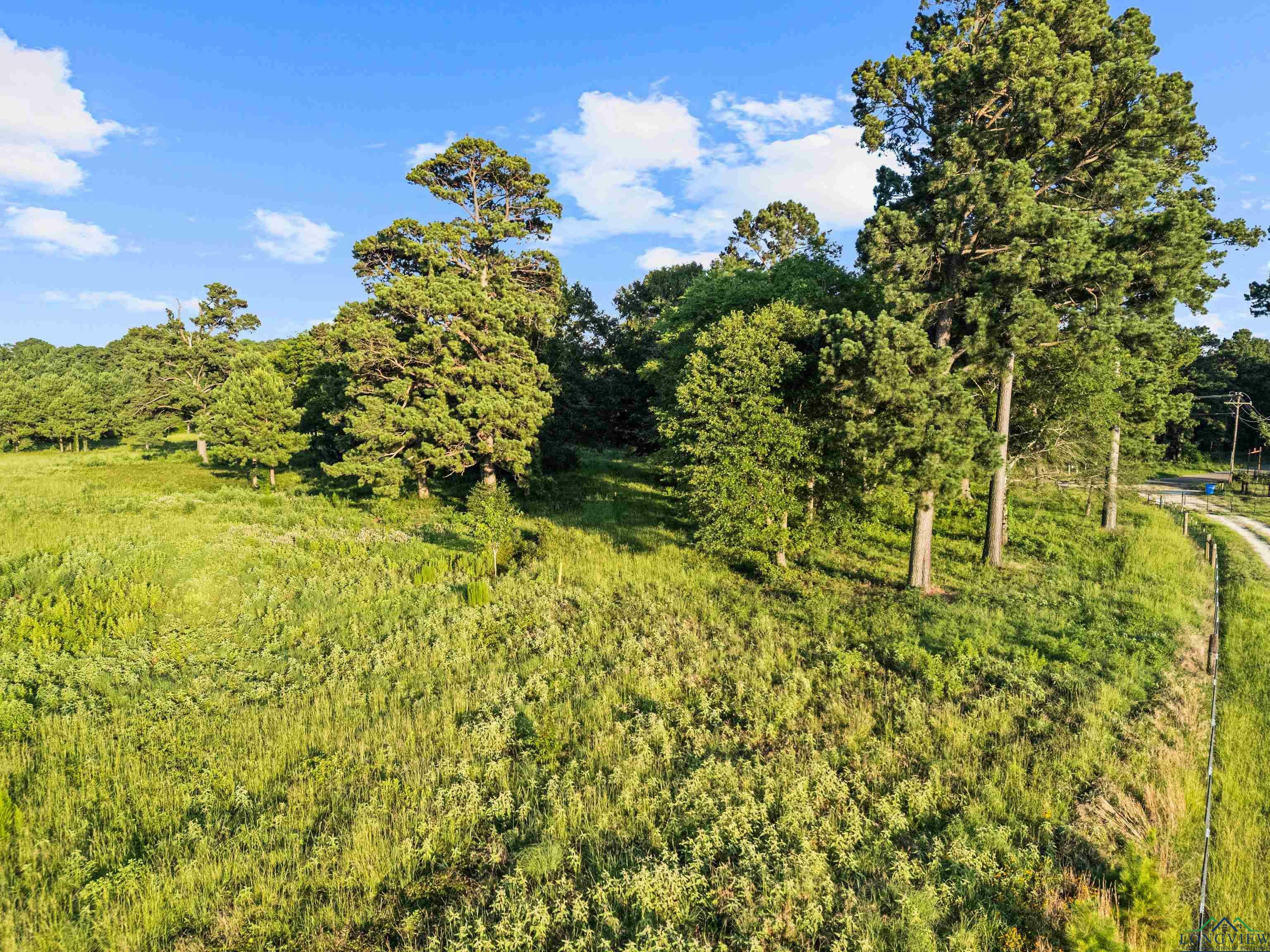 Property Photo:  Tbd Peter Bonner (Tract1)  TX 75650 