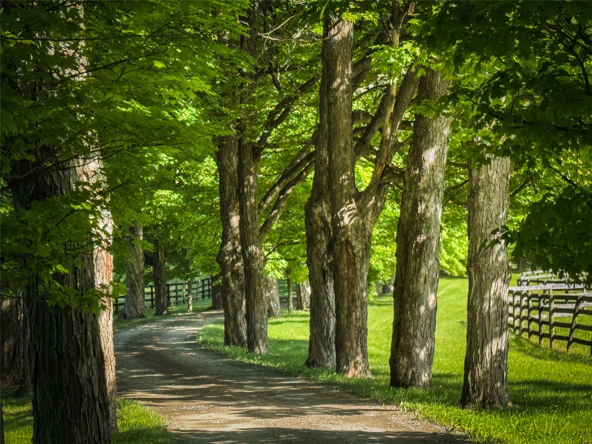 Property Photo: 33 Scott Road NY 12534