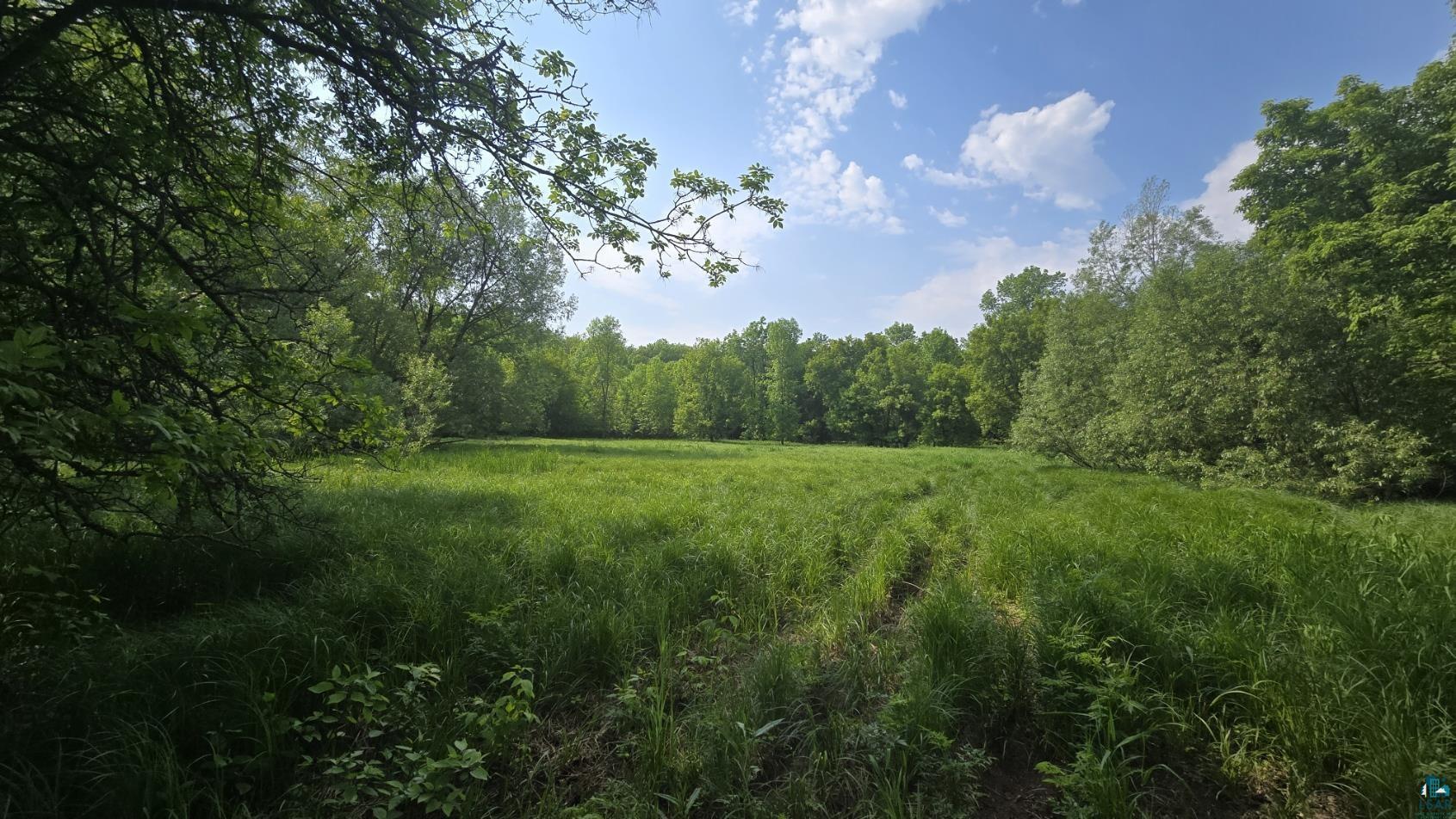 Property Photo: 10550 Flagg River Rd WI 54865