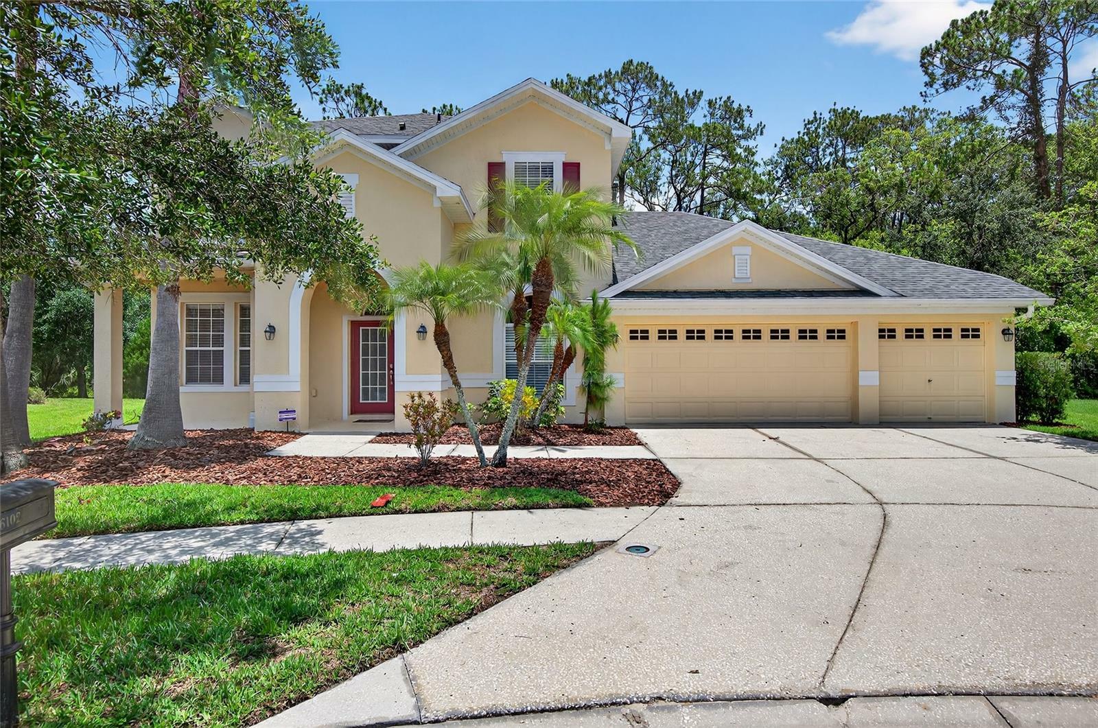 16102 Colchester Palms Drive  Tampa FL 33647 photo
