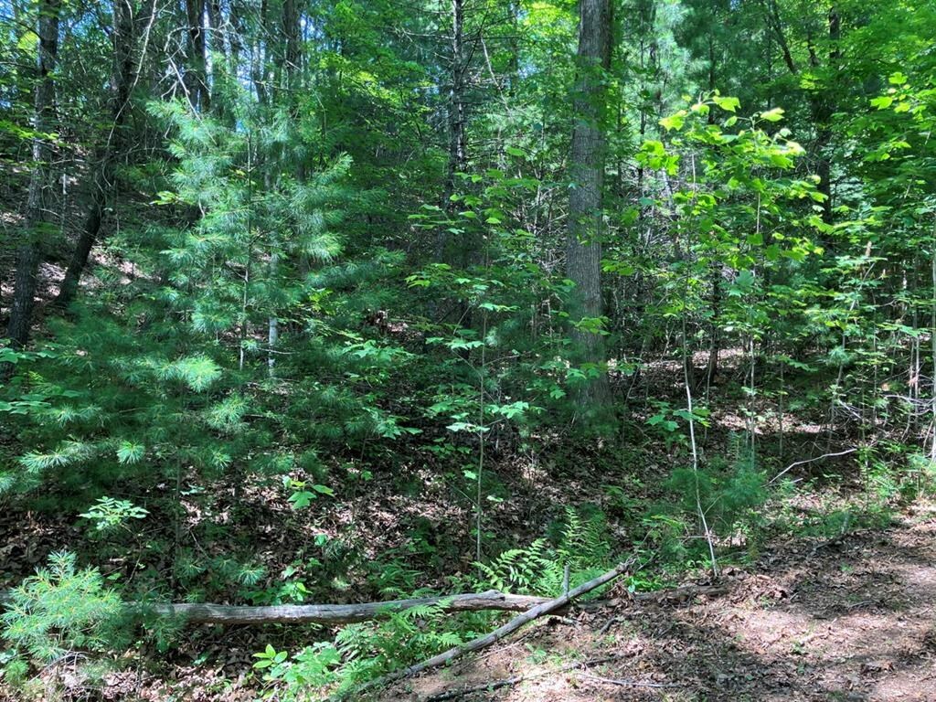 Property Photo: Lot 6&Amp7 View Ridge Trail NC 28906