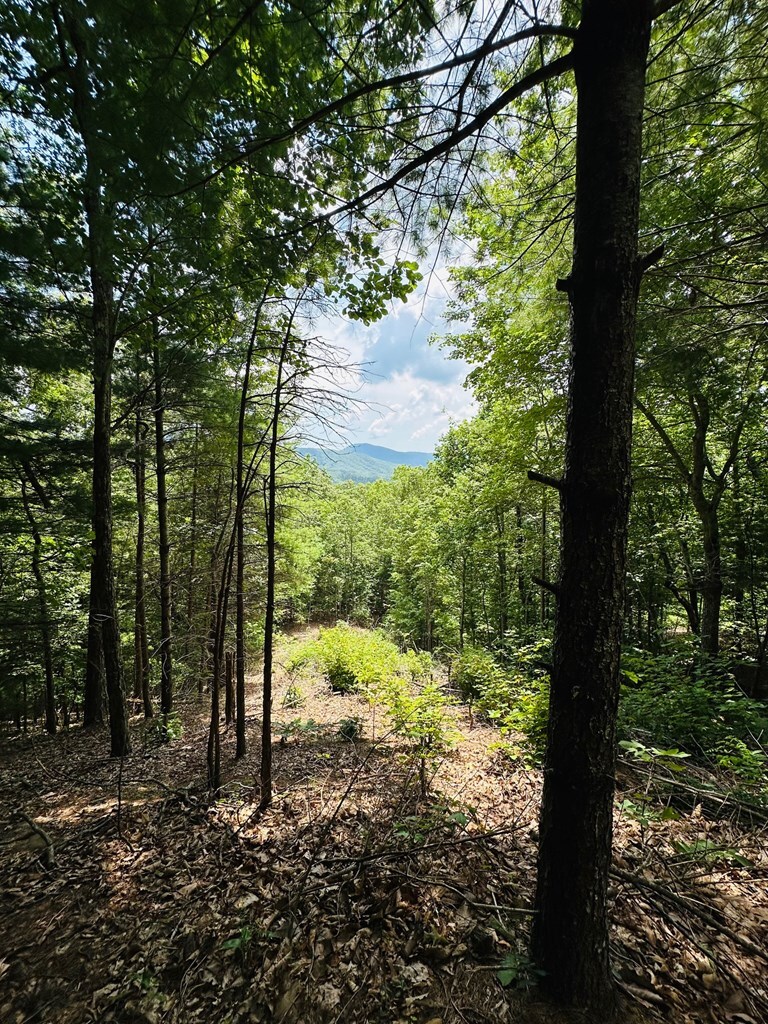 Property Photo: Lt 15 View Ridge Trail NC 28906