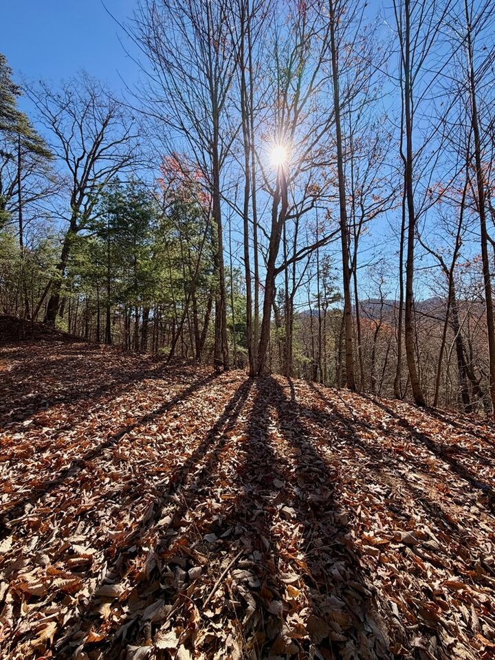 Property Photo: Lot #15 View Ridge Trail NC 28906