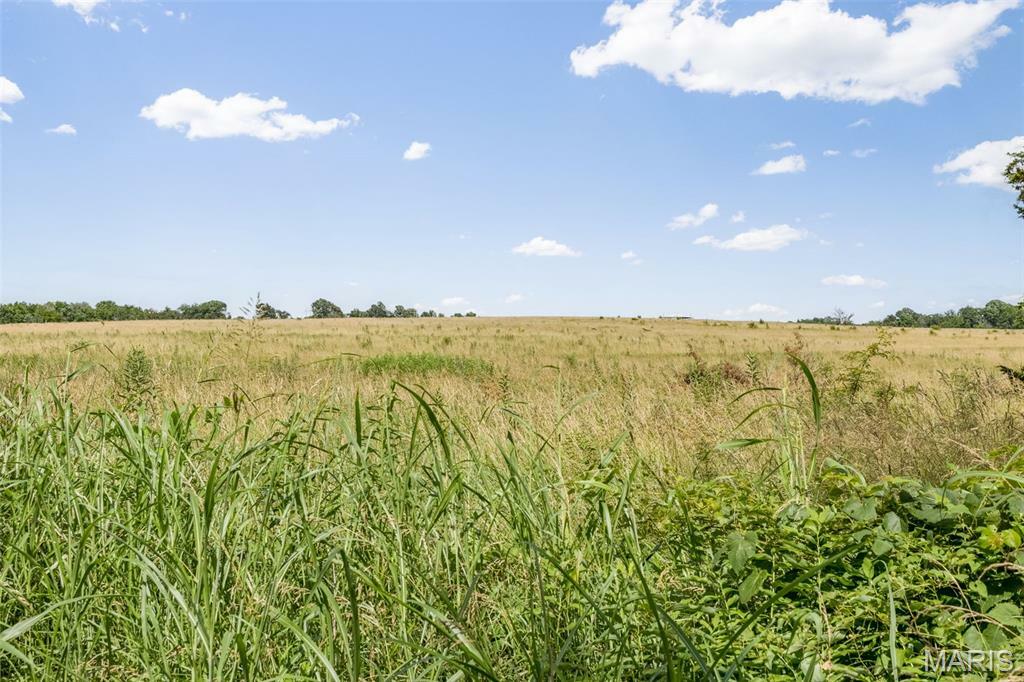 Property Photo: 4084 Three Rivers Road MO 63640