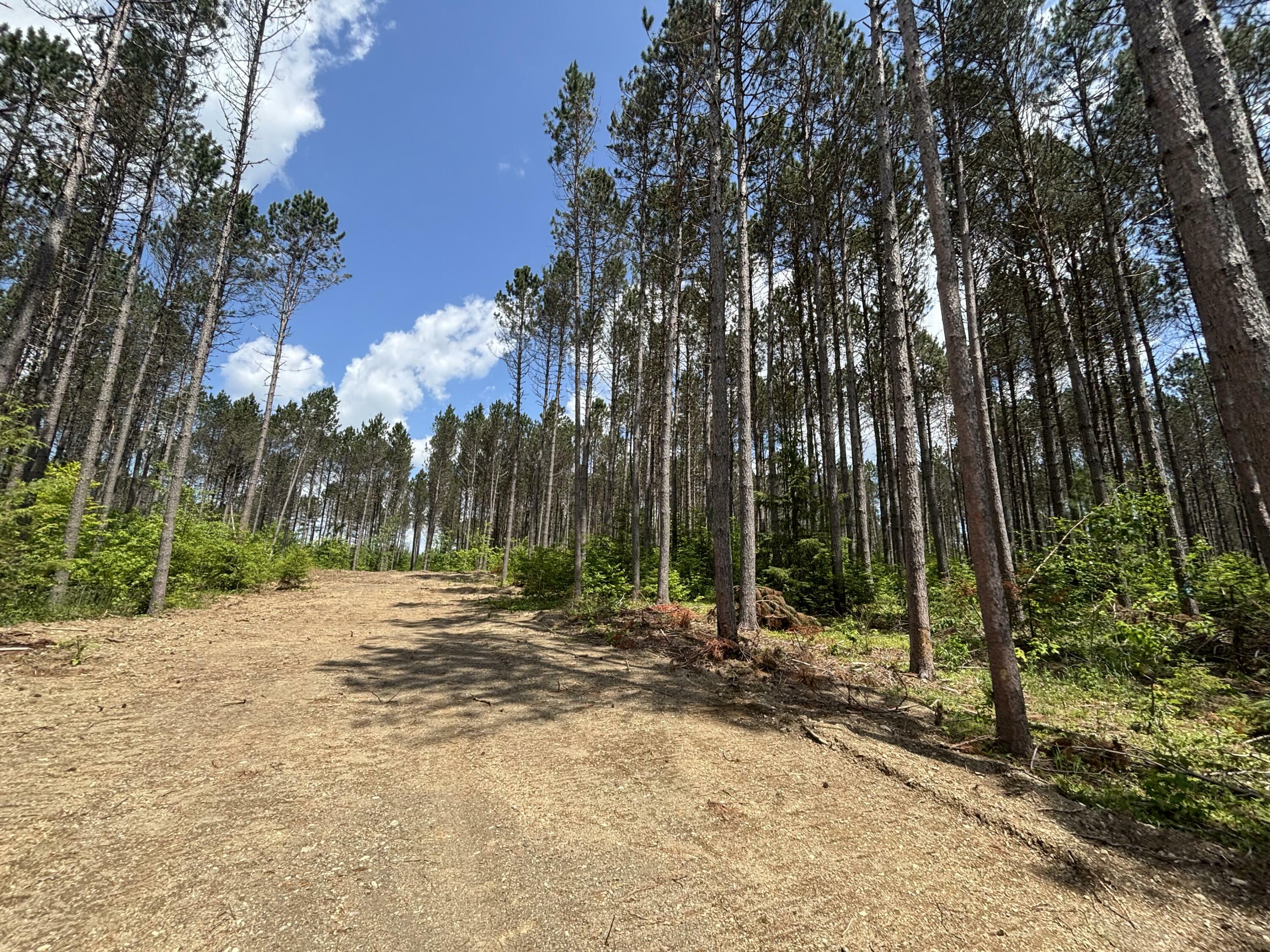 Property Photo: Lot H McDonald Road ME 04730