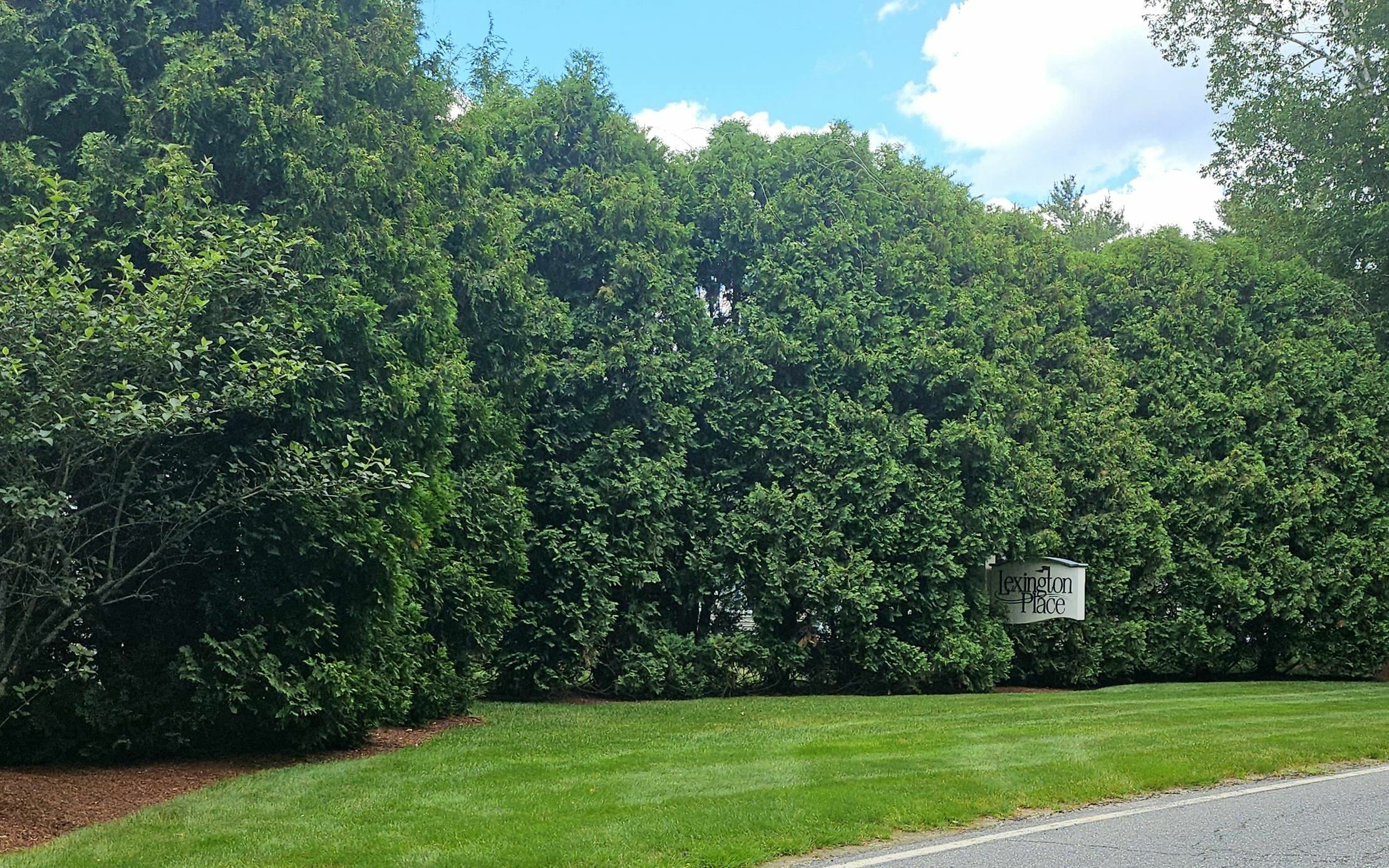 Property Photo: 49 Lexington Court NH 03051