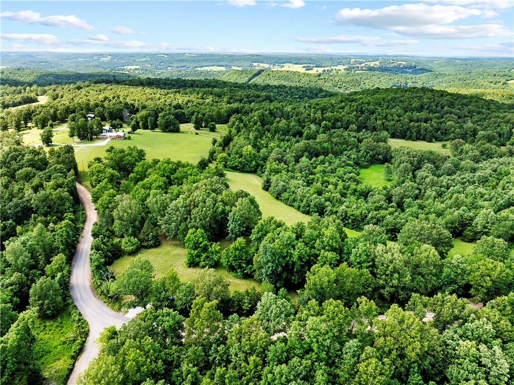 Property Photo:  375 Tomahawk Slab Road  AR 72650 