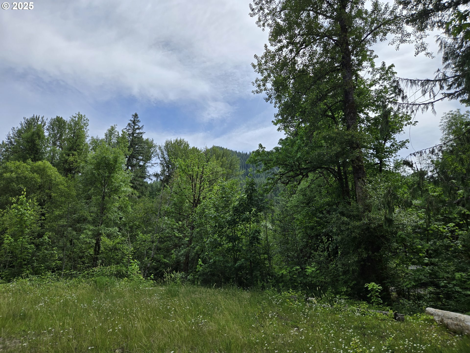 Property Photo: 161 Cannavina Pvt Rd 4 WA 98610