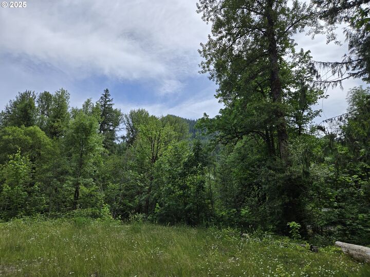 Property Photo:  161 Cannavina Pvt Rd 4  WA 98610 