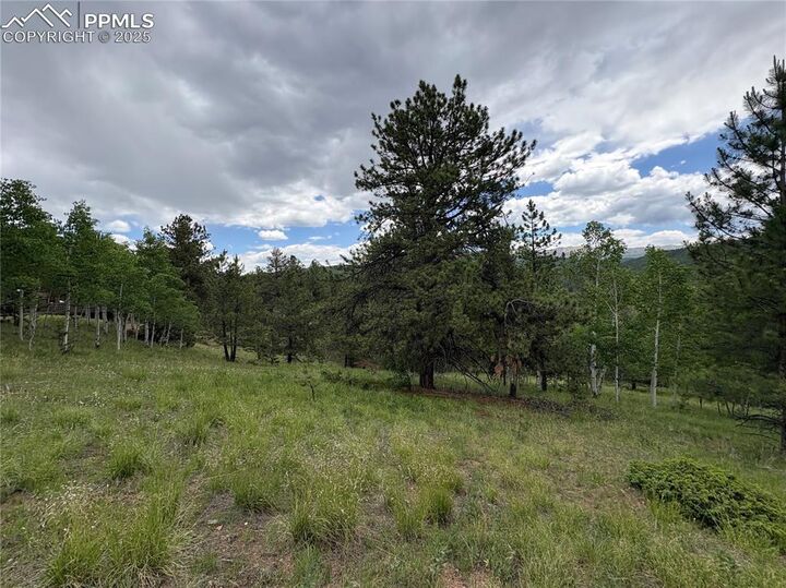 Property Photo:  532 May Queen Drive  CO 80813 