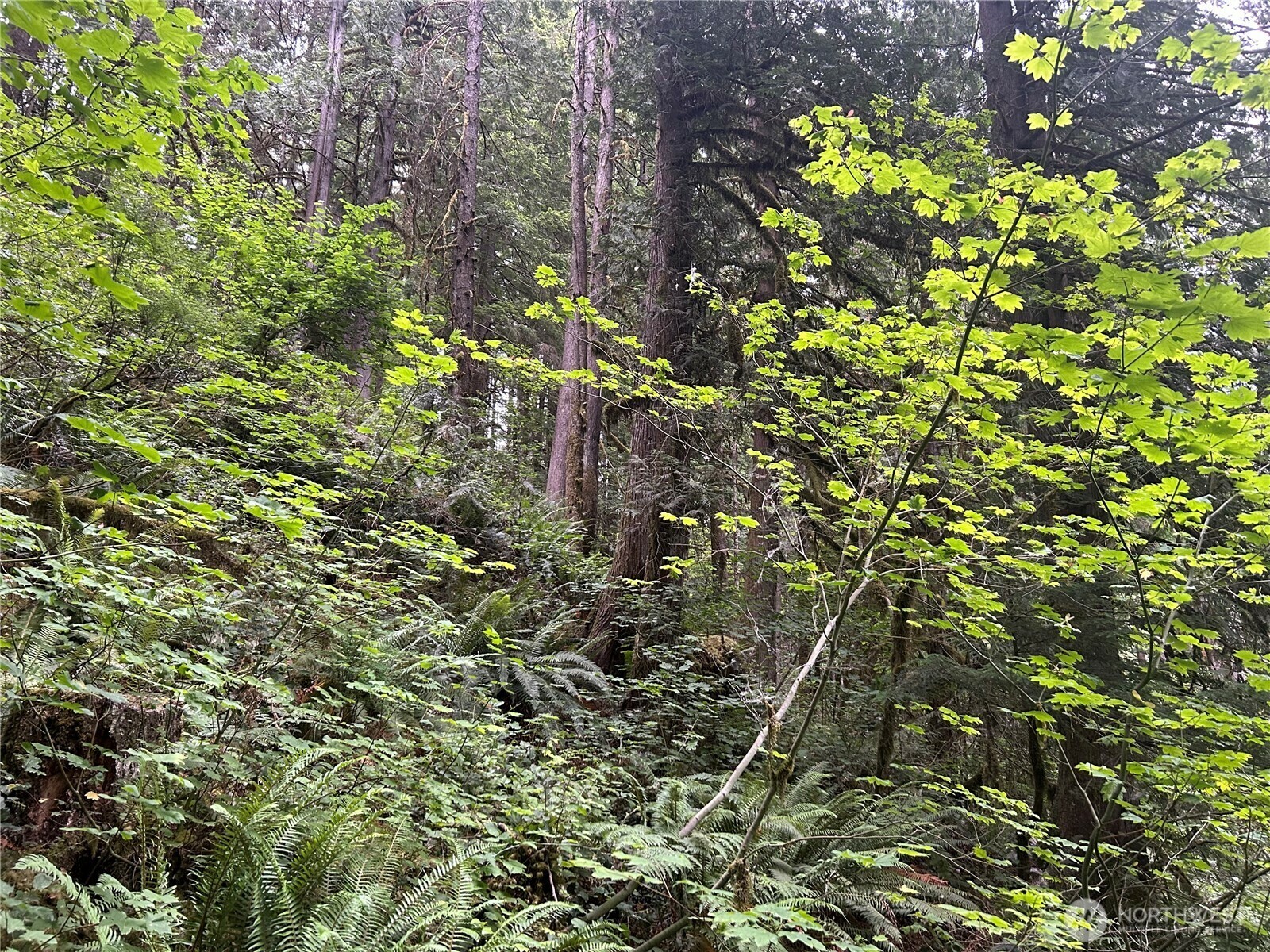 Property Photo: 64017 E Cascade Drive 1-194 WA 98267