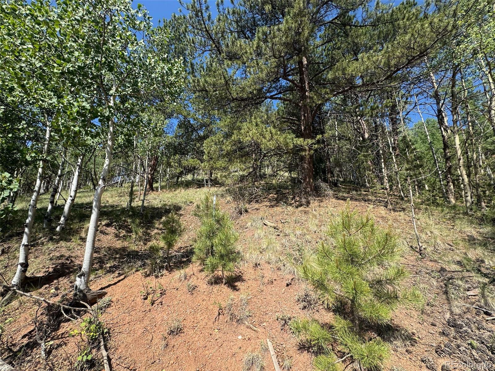Property Photo:  281 Pikes Peak Drive  CO 80814 