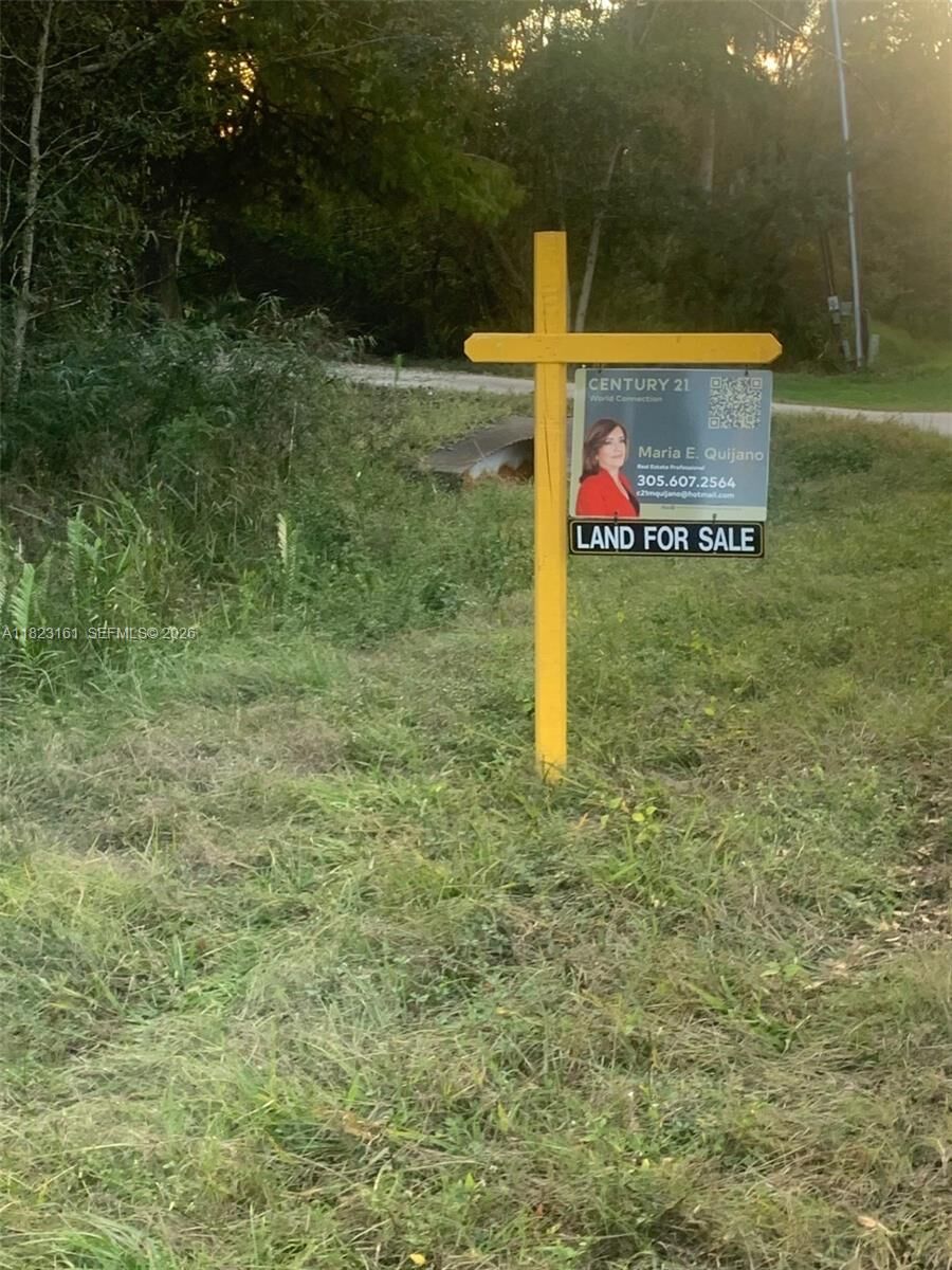 Property Photo:  Golden Gate St 2nd Ave SE  FL 34117 