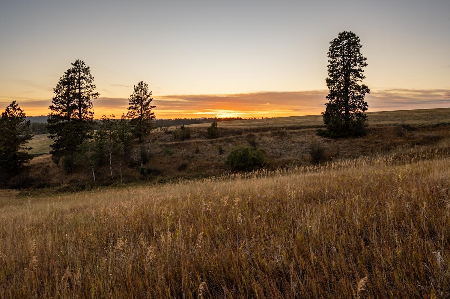 Property Photo: 10900 S Silver Hill Rd WA 99223