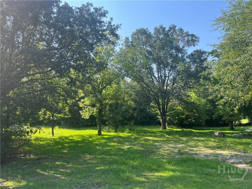 Property Photo: 112 Cail Street GA 30467