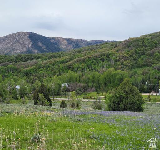 Property Photo: 3103 Pine Way 384 UT 84317