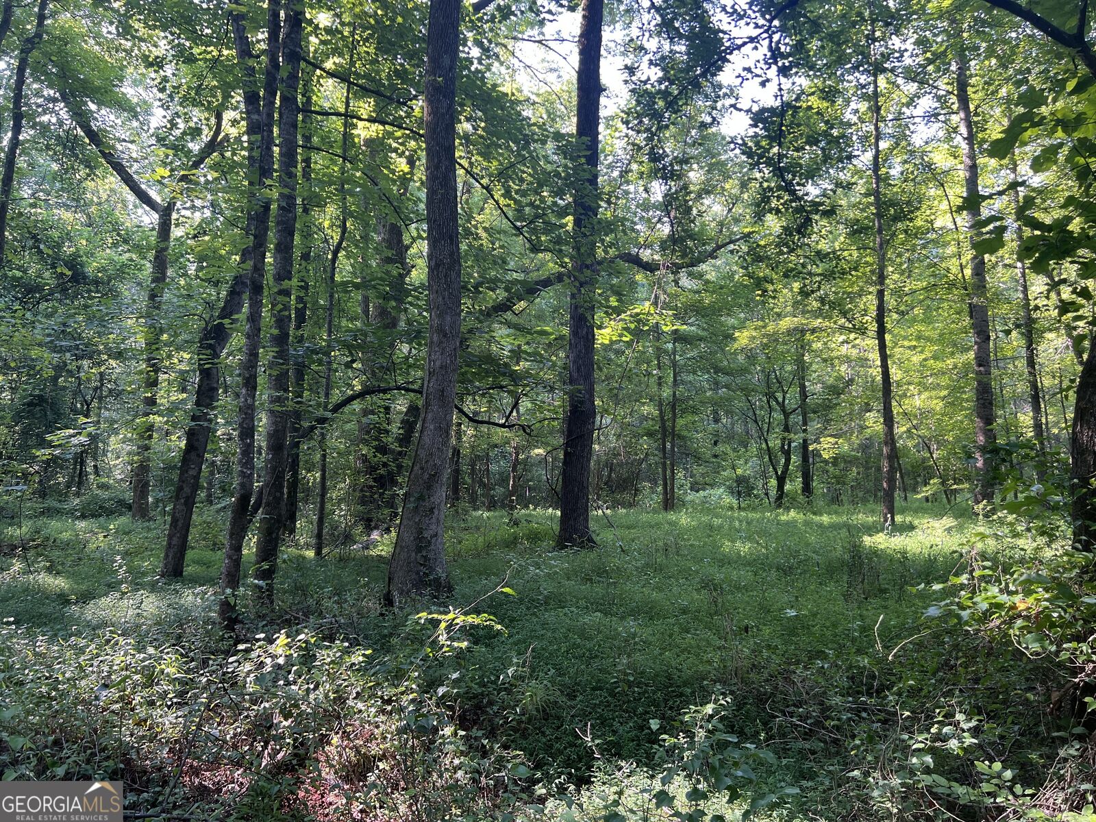 Property Photo:  0 Mac Garner Road  GA 30179