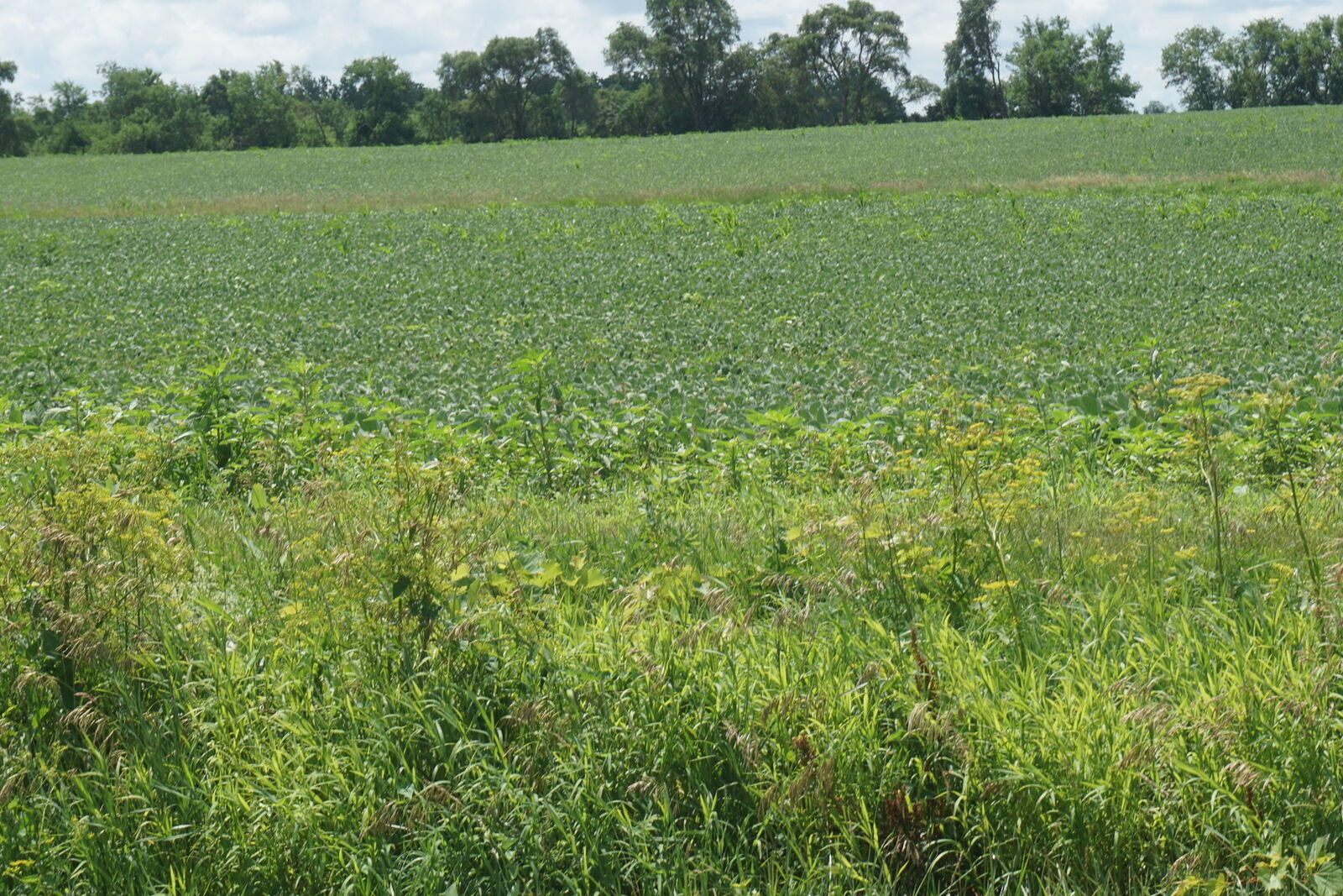 Property Photo:  11338 E 9000 N Road  IL 60940 