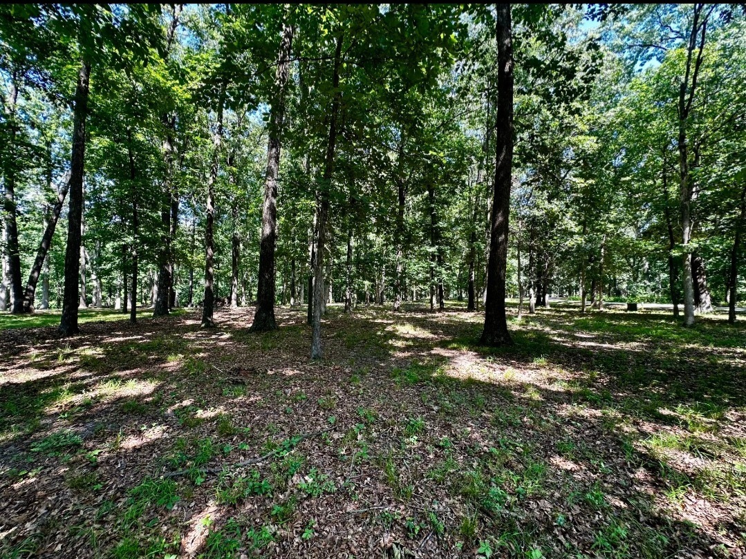 Property Photo: 220 Beyers Lake Est IL 62557