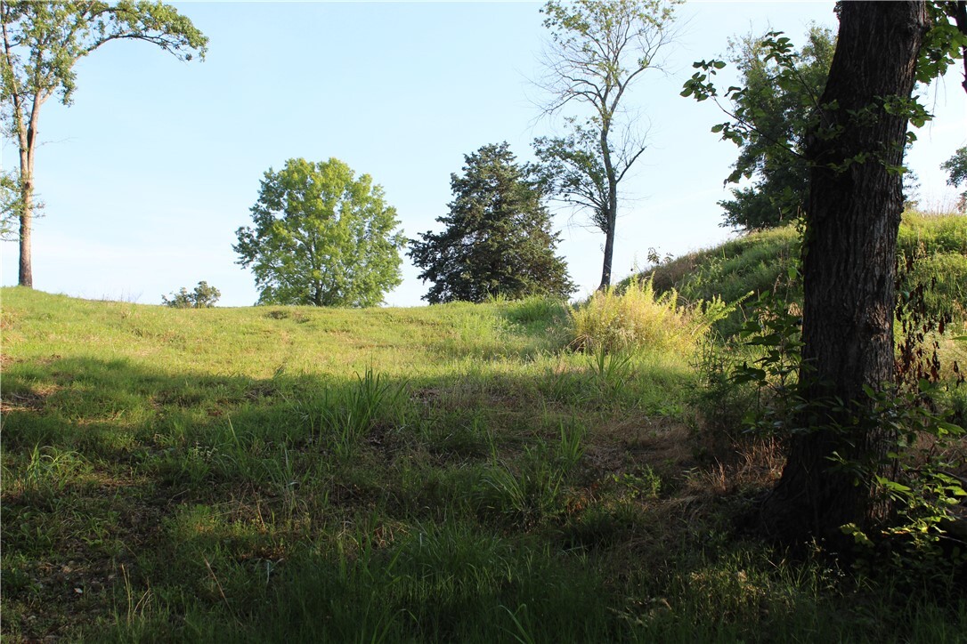Property Photo:  000 Woodland Court  MO 65616 