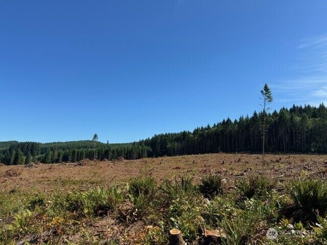 Property Photo:  0 Lot 5  Nelson Road  WA 98596