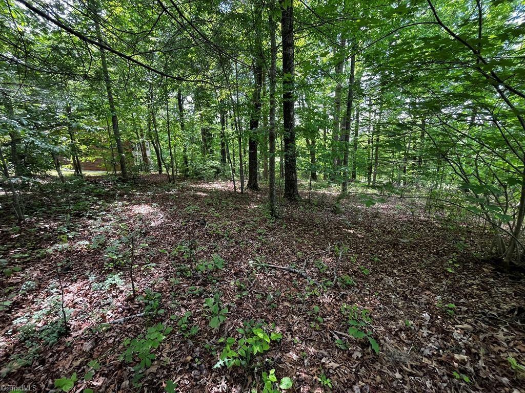 Property Photo: 000 Virgilina Circle VA 24317