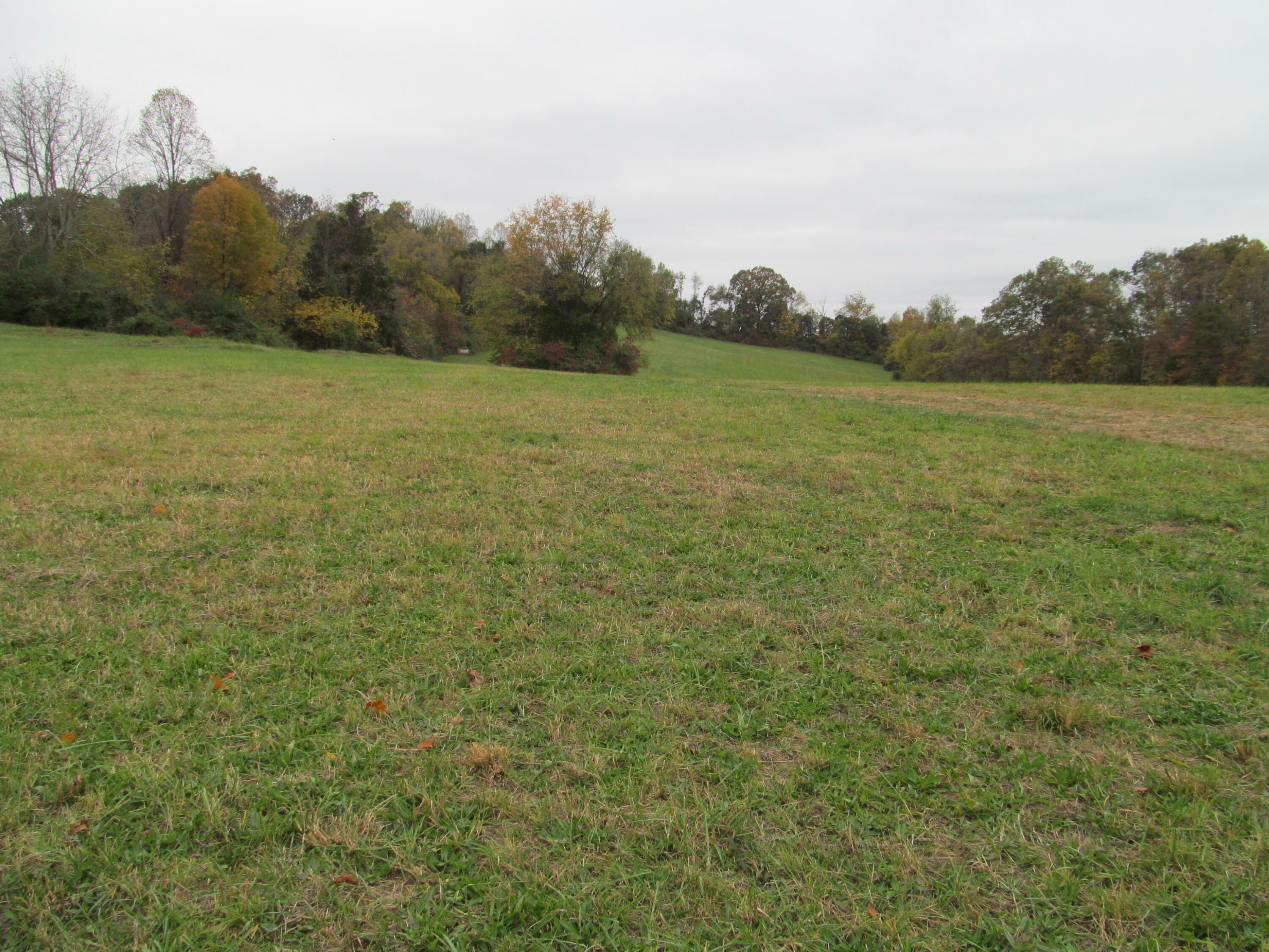 Property Photo: 793 S Pickens Bridge Road TN 37615