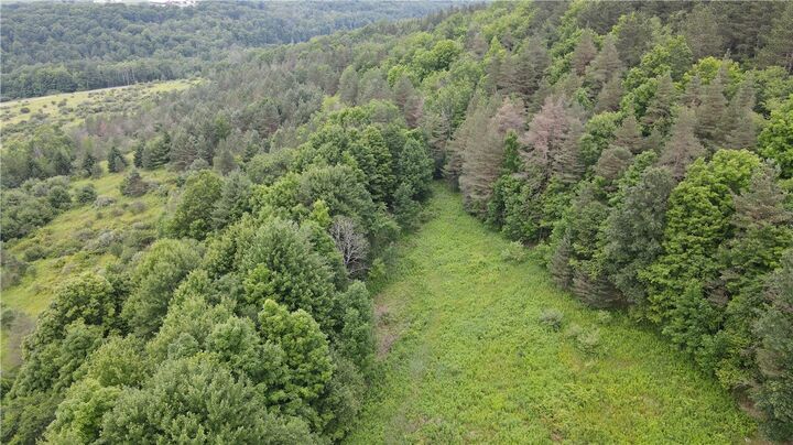 Property Photo: 0 Hornell Reservoir Road NY 14843