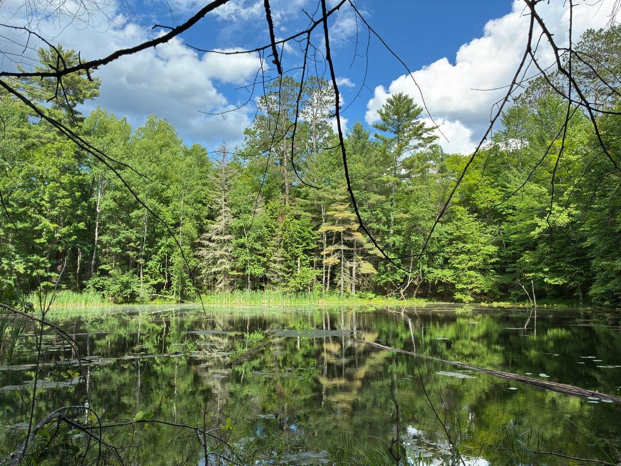 Property Photo: On Kein Rd Lot 12 WI 54547