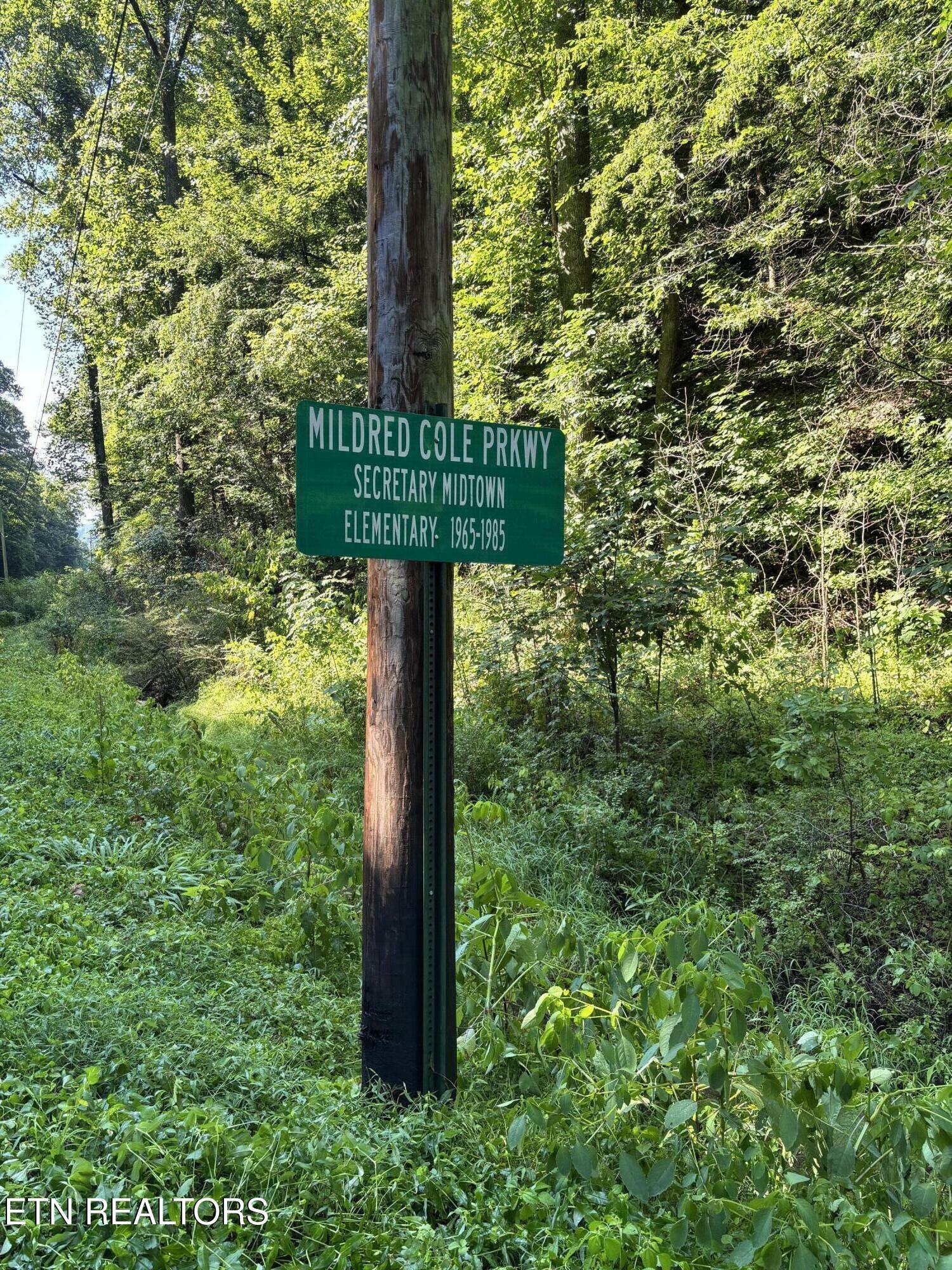Property Photo:  Ruritan Rd  TN 37748 