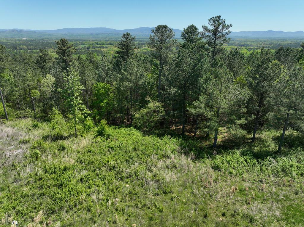 Property Photo:  0 Ledford Road  GA 30721 