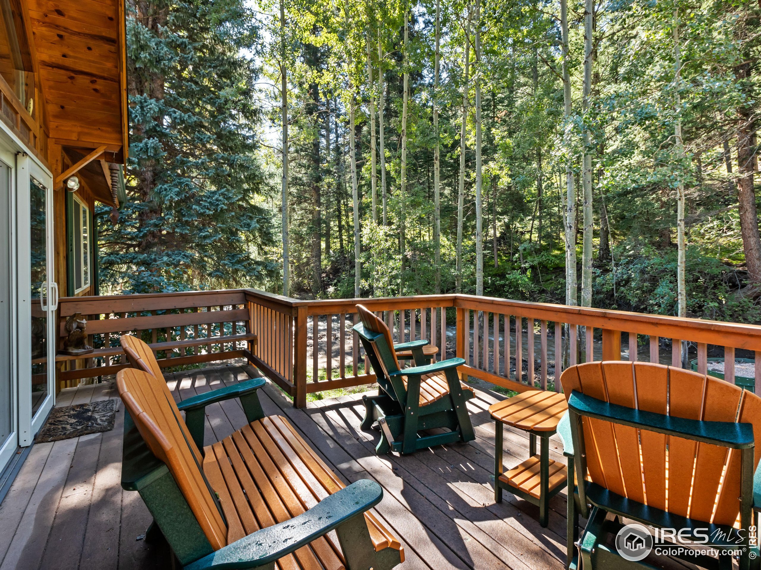 Property Photo: 1035 Streamside Dr CO 80532