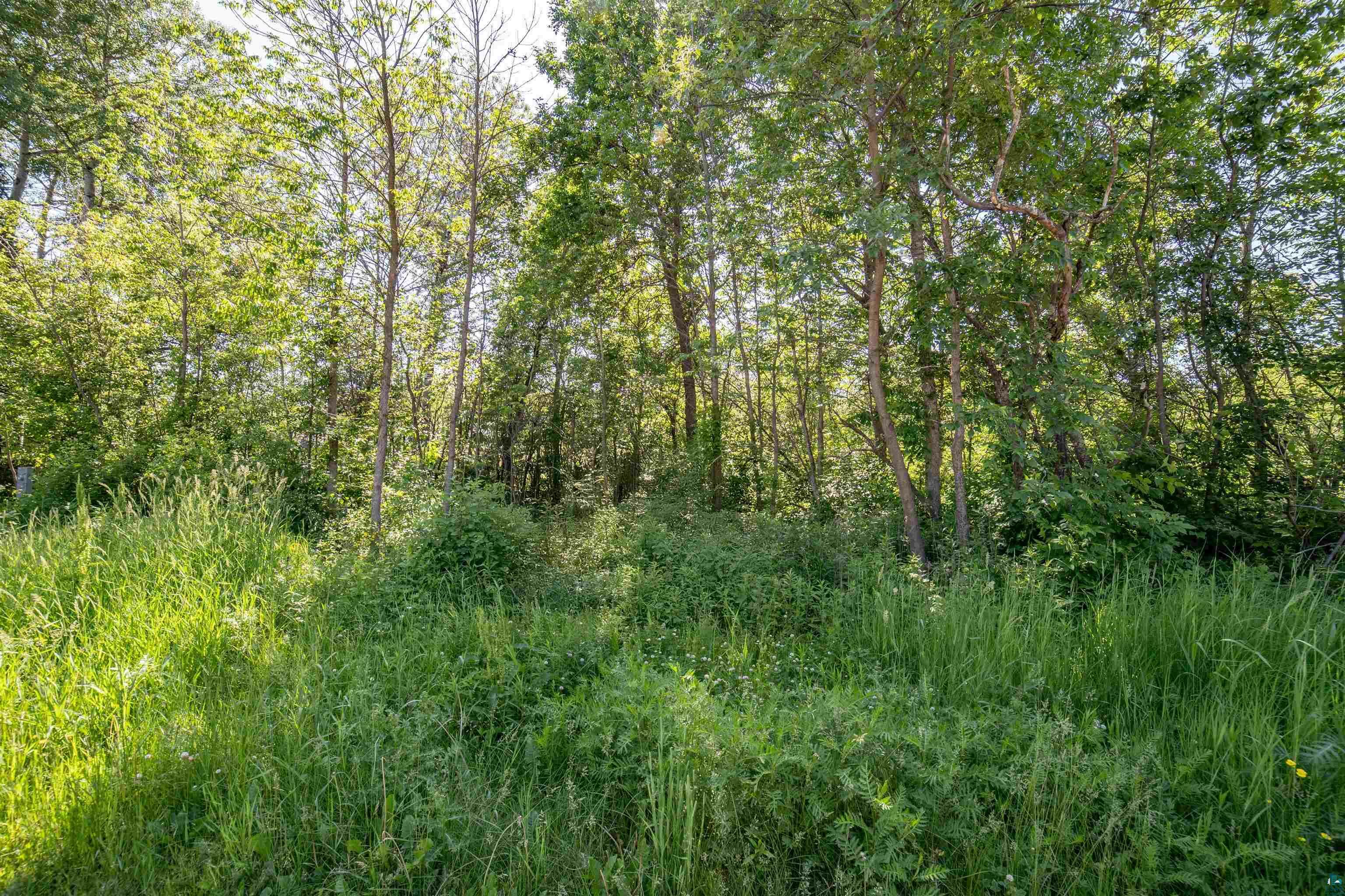 Property Photo: 3817 Stebner Rd MN 55811