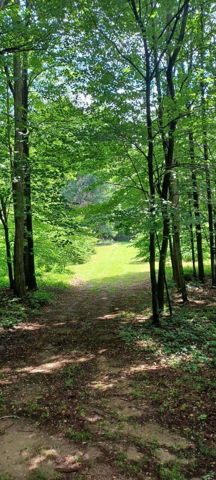 Collier Avenue  Battle Creek MI 49017 photo