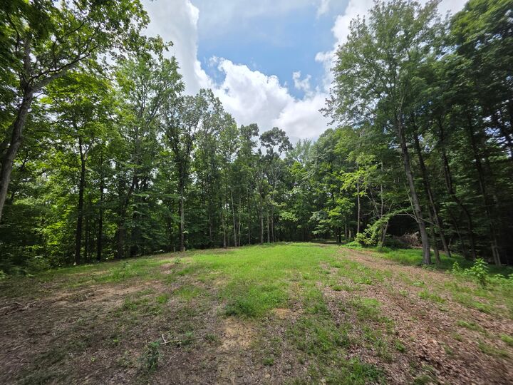 Property Photo:  0 Baggett Hollow  TN 37052 