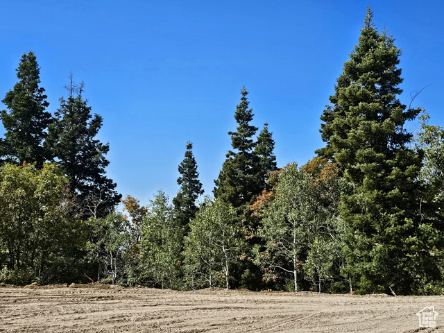 3940 Deer Valley Dr K39,40  Fairview UT 84629 photo