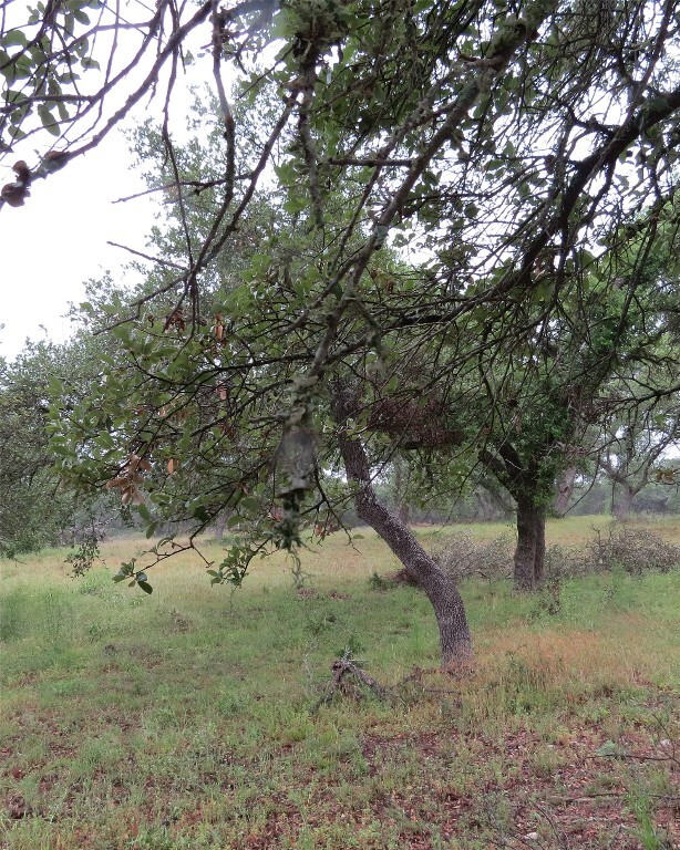 Property Photo: 12 Pecos Drive TX 78676