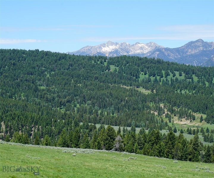 Property Photo: Tbd Timberloft MT 59716