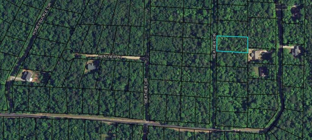 Property Photo:  Blk 29 Lot 31 Heather Circle  GA 31831 