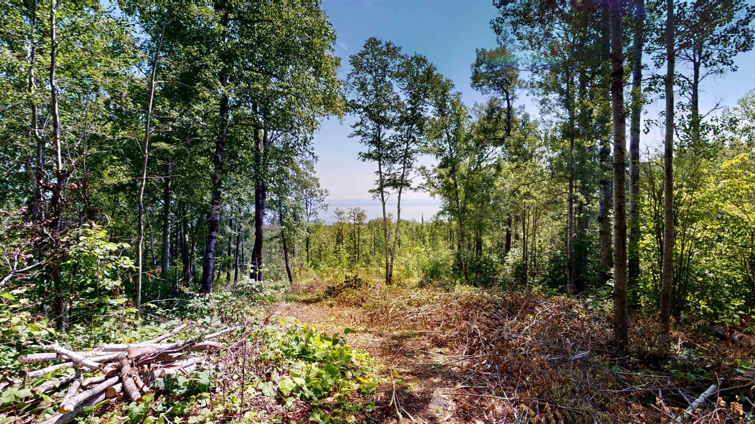 Property Photo: 122 County Road 6 MN 55604