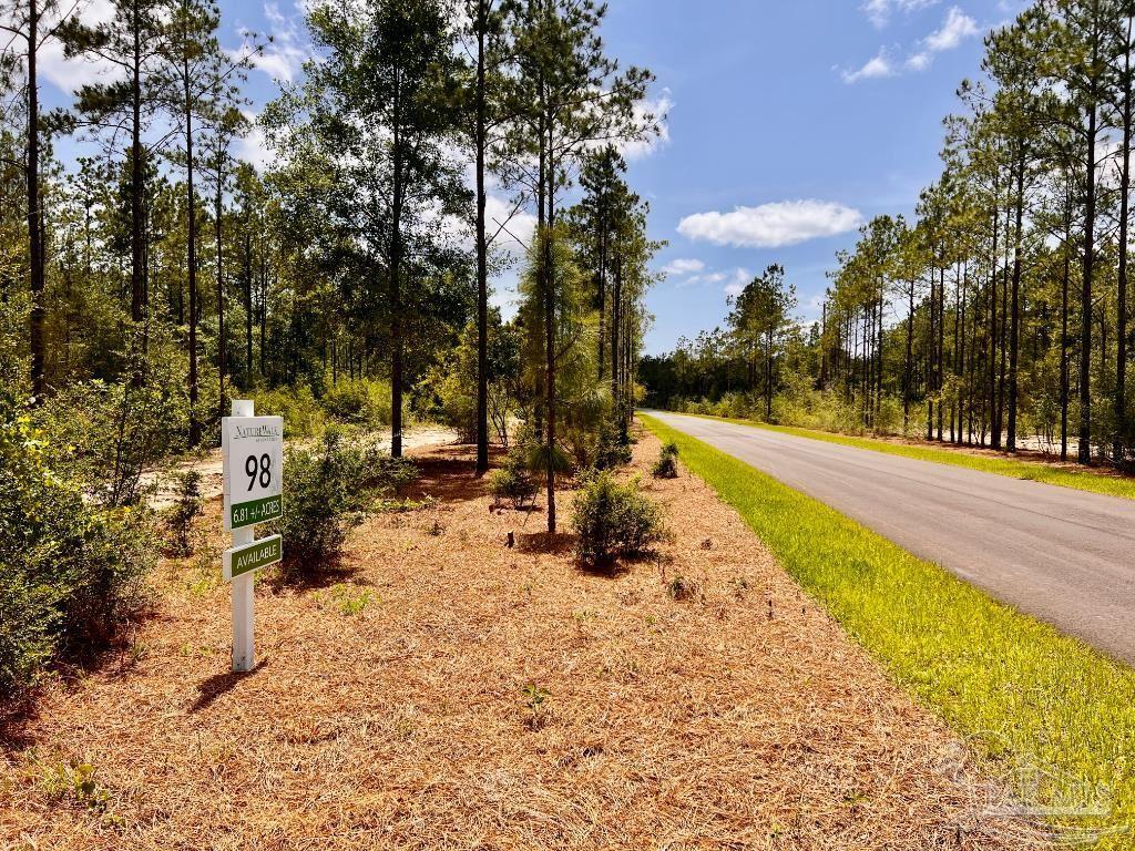 Property Photo:  Lot 98 Turning Leaf Rd  FL 32571 