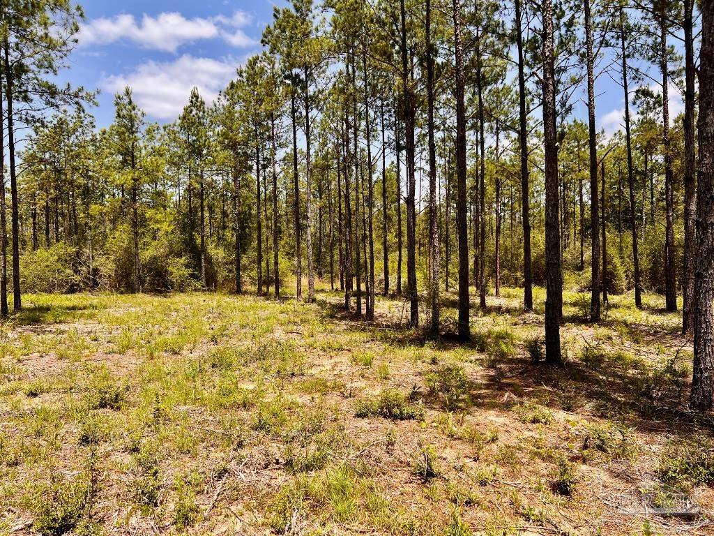 Property Photo: Lot 97 Turning Leaf Rd FL 32571