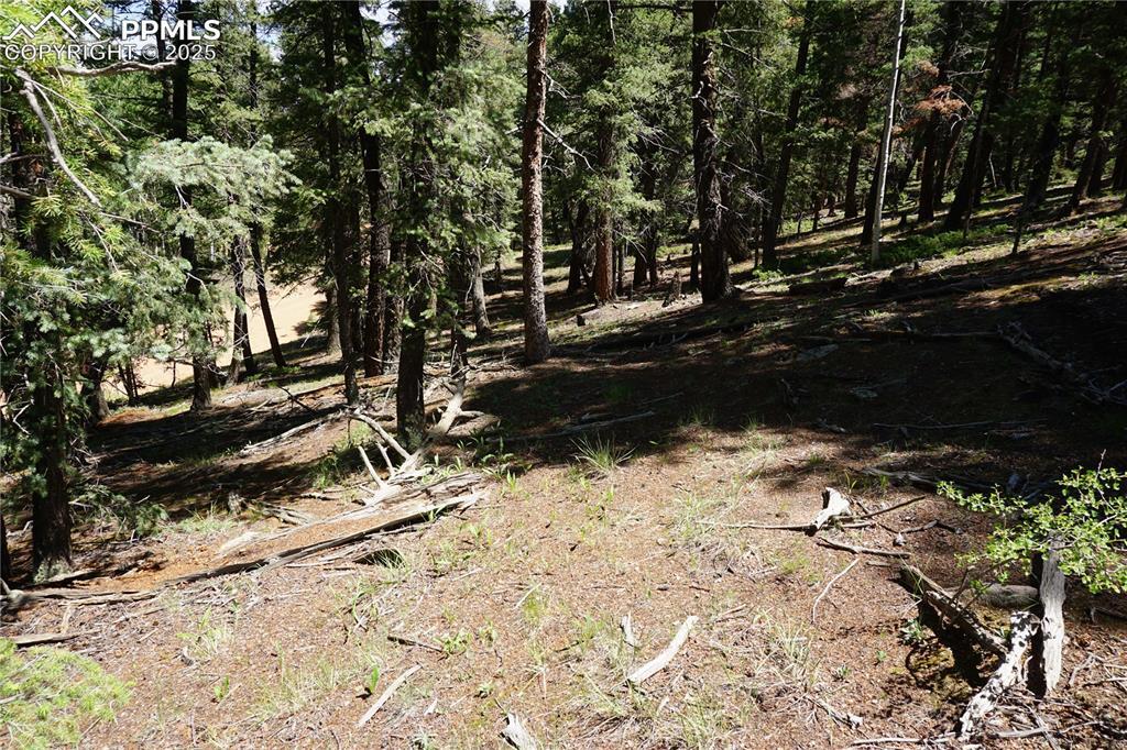 Property Photo: 1000 Bennett Drive CO 80813