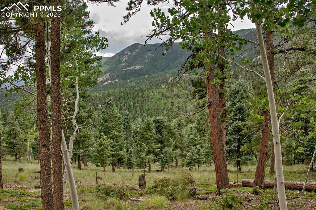 Property Photo: 266 Aspen Ridge Road CO 80829