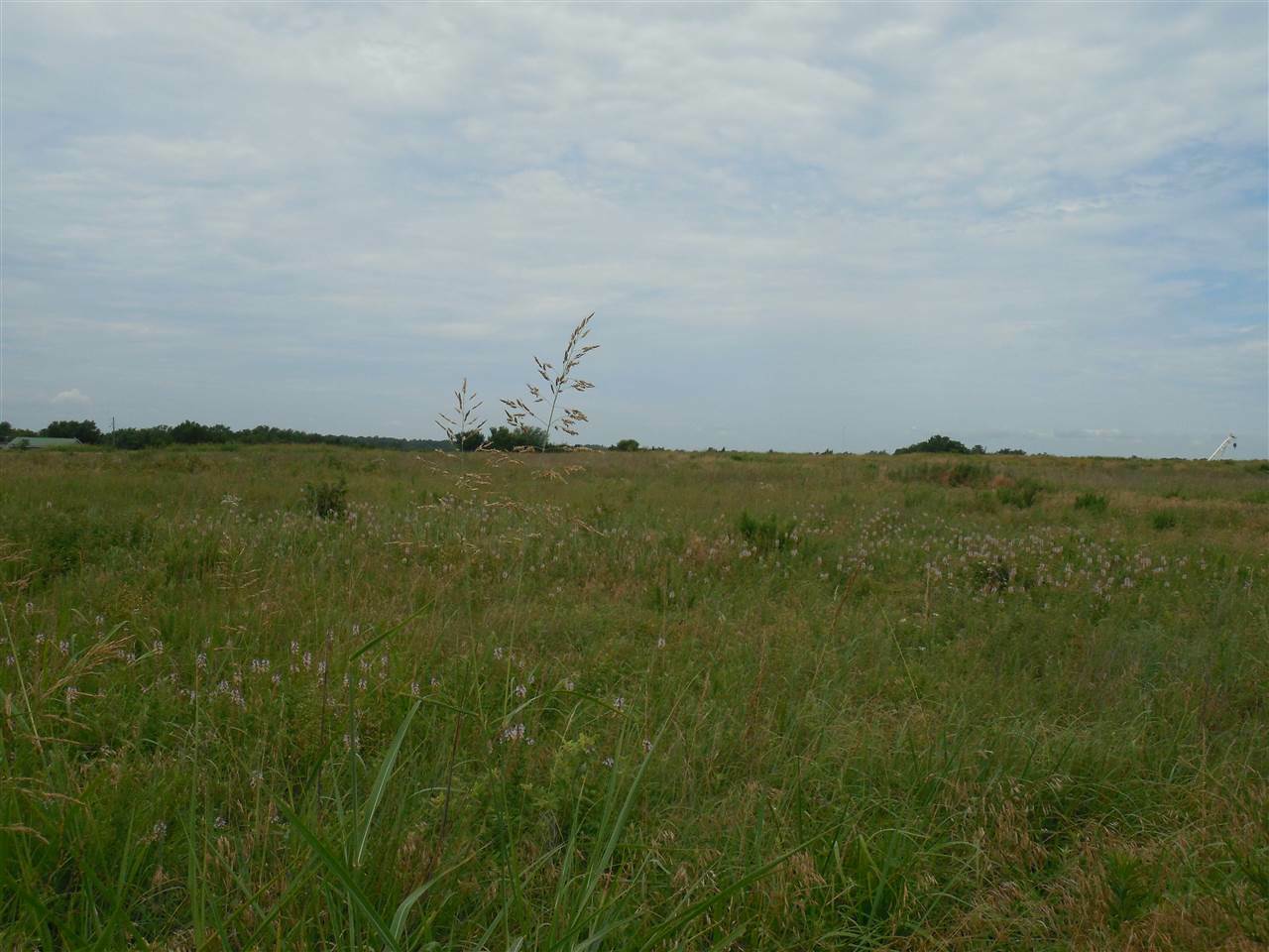 Property Photo: S Rose Road Tract 2 OK 74074