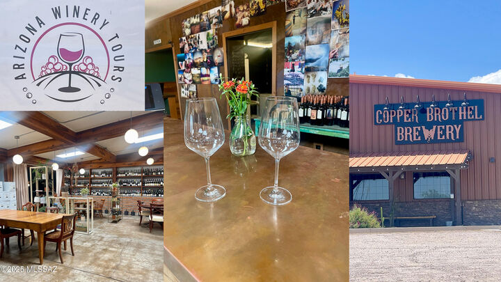 Property Photo:  89 Curly Horse Ranch Road  AZ 85637 