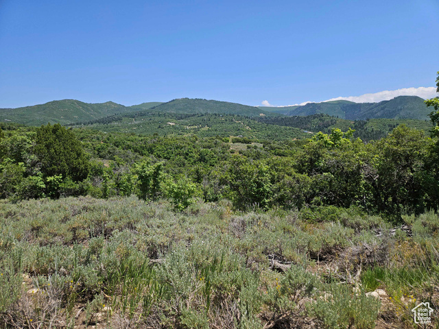 Property Photo: 156 E Wolf Hollow Rd S 156 UT 84629