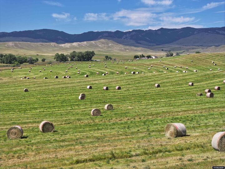 Property Photo:  77 Sand Creek Ranch Road  WY 82834 