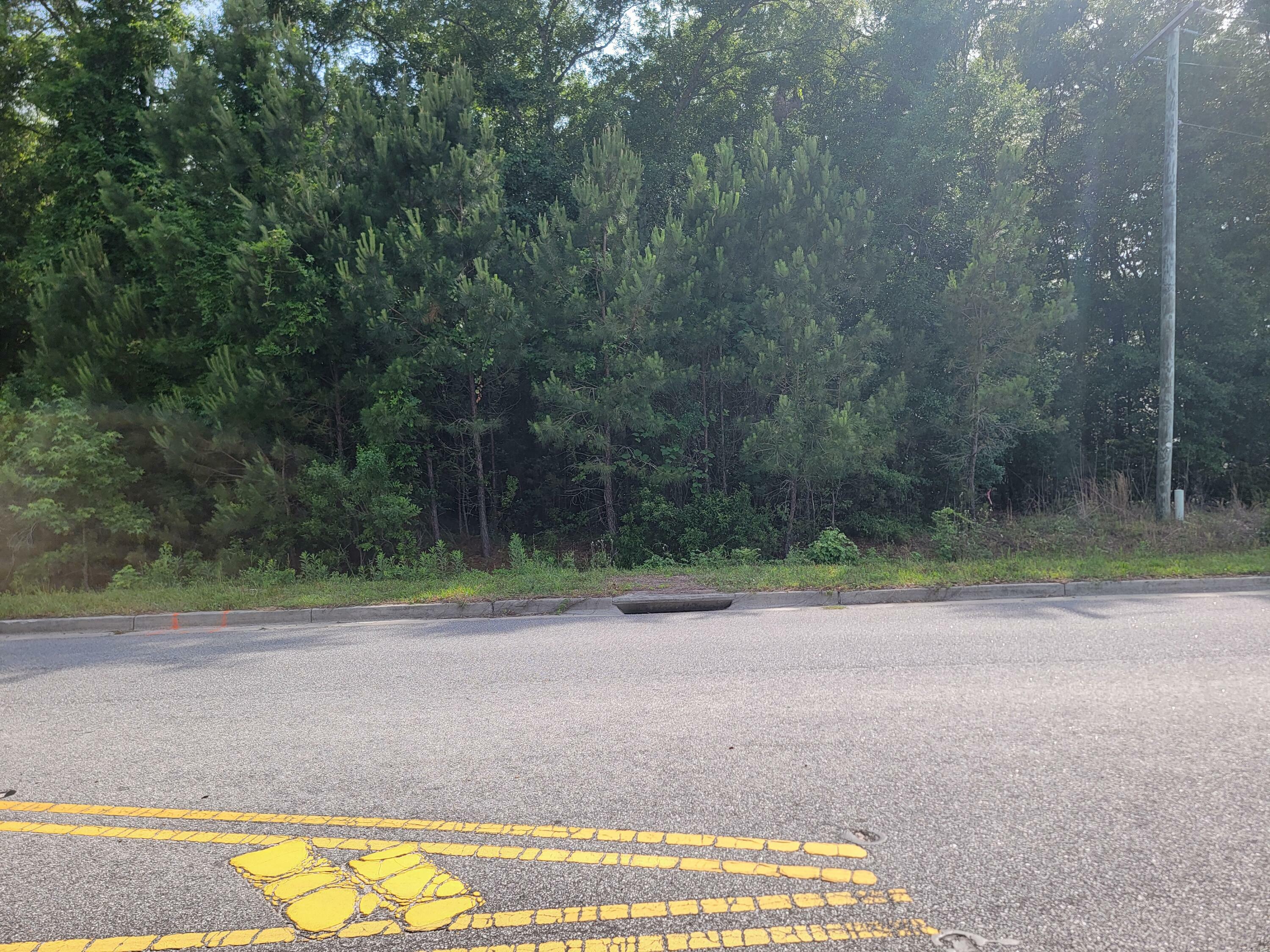 Property Photo: 0000 Hamlin Road SC 29466