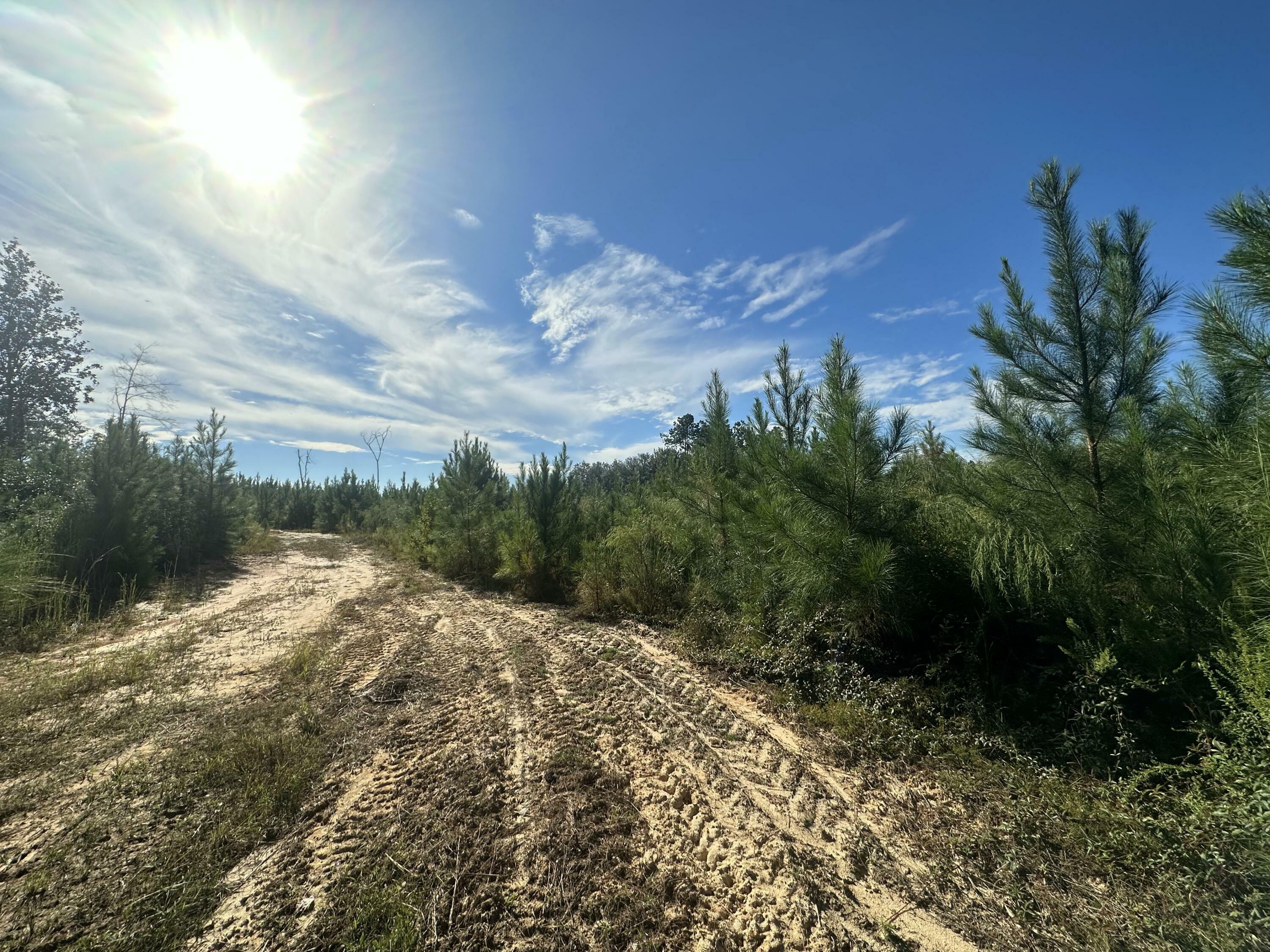 Property Photo: Parcel E Millside Road FL 32567